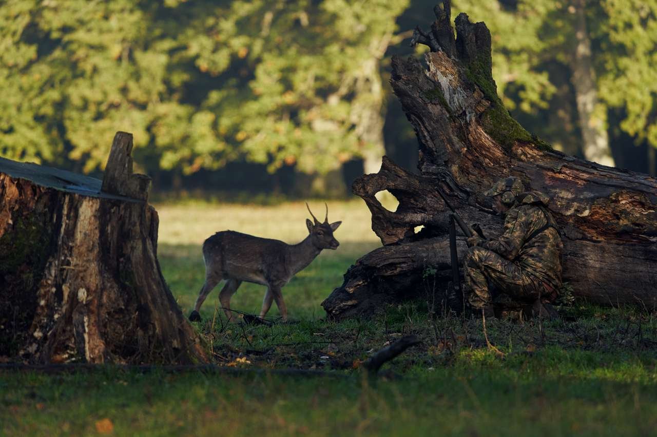 Härkila Deer Stalker Camo HWS Jacke – Bild 17