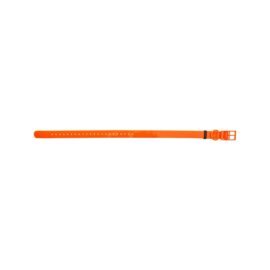 HP&G Hundehalsband