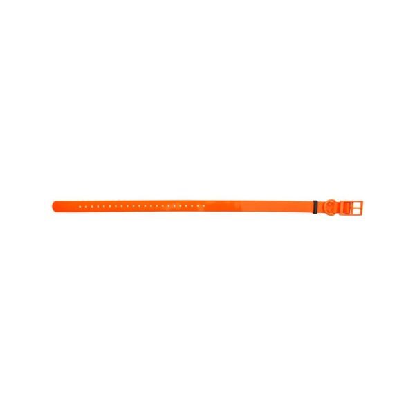 HP&G Hundehalsband