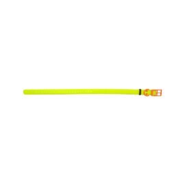 HP&G Hundehalsband