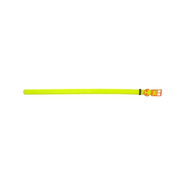 HP&G Hundehalsband