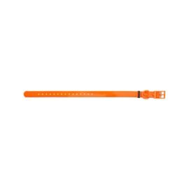 HP&G Hundehalsband