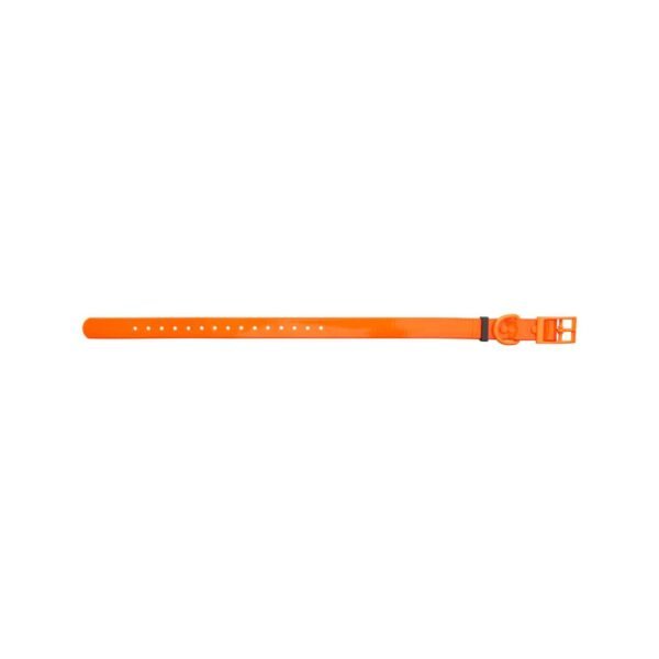 HP&G Hundehalsband