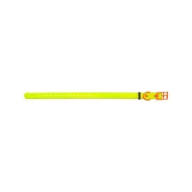 HP&G Hundehalsband