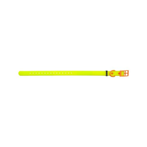 HP&G Hundehalsband