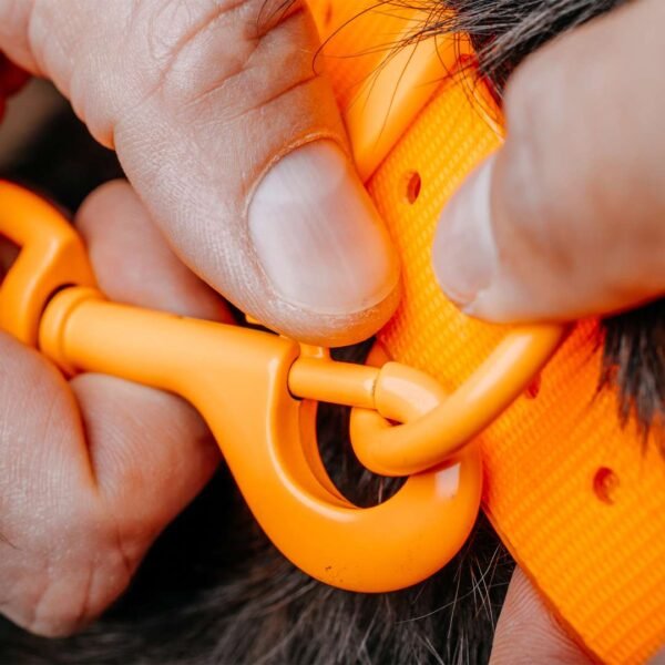 HP&G Hundeleine Schleppleine m. Karabiner – Bild 3
