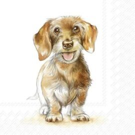 Servietten